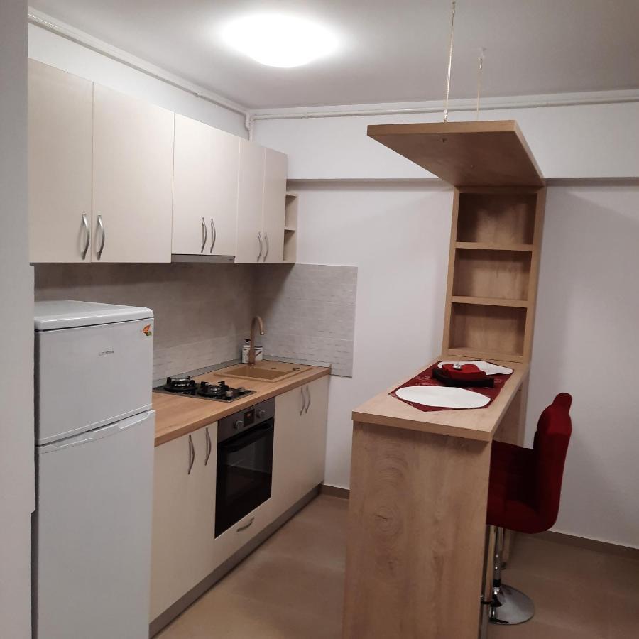 Studio Adela Apartamento Iasi Exterior foto