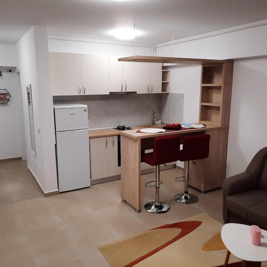 Studio Adela Apartamento Iasi Exterior foto